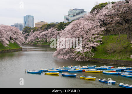 Ruderboote in der Hofburg Graben in Tokio, Japan Stockfoto