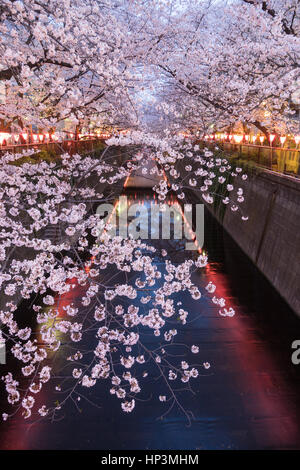 Nakameguro Fluss während der Kirschblüte Festival, Nakameguro, Tokyo, Japan Stockfoto