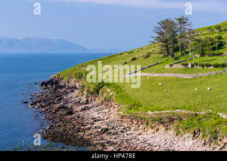 Dingle-Halbinsel in der Nähe von Anascaul, County Kerry, Irland, Europa Stockfoto