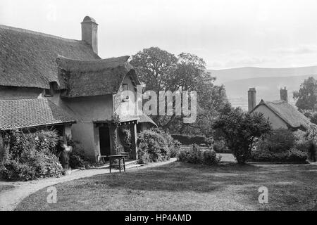 Edwardian Foto zeigt strohgedeckten Hütten am Selworthy Green, Exmoor, aufgenommen im Oktober 1907. Im Außenbereich sind die Hütten Gärten mit Bäumen, Sträuchern und Blumen groß gut bestückt. An der Tür der Hütte auf der linken Seite ist eine unscharfe Dame mit einem kleinen Hund oder eine Katze zu ihren Füßen. Ein Tisch steht auf dem Grün vor der Hütte. Restauriert von einem hochauflösenden Scan Edwardian Vorlagenglas negative entnommen. Stockfoto