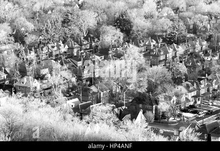 Wohnanlage Umgebung eingebettet zwischen Winterbäume, in schwarz und weiß von oben gesehen Stockfoto