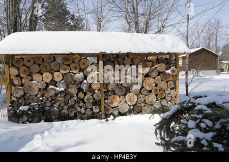 Stapel Brennholz in hellen Wintertag mit viel Schnee herum. Stockfoto