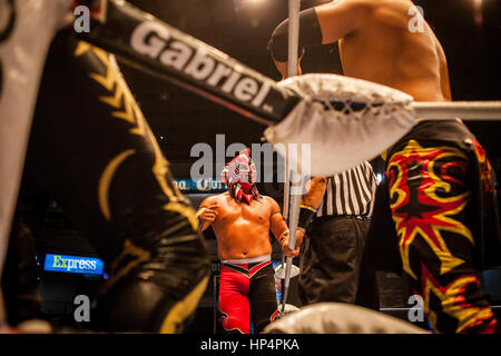 Ringer durchführen in einem Lucha Libre-Event in Guadalajara Arena Coliseo, Guadalajara, Jalisco, Mexiko Stockfoto