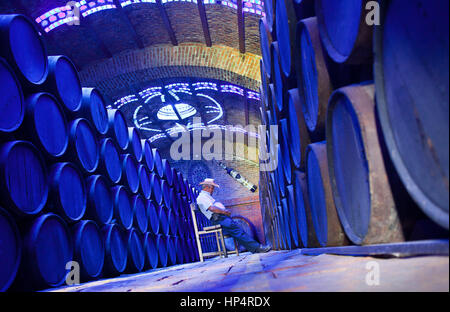 Fabrik des berühmten Tequila Corralejo, tequilera. Reifung von Tequila in Fässern, Penjamo, Guanajuato, Mexiko Stockfoto