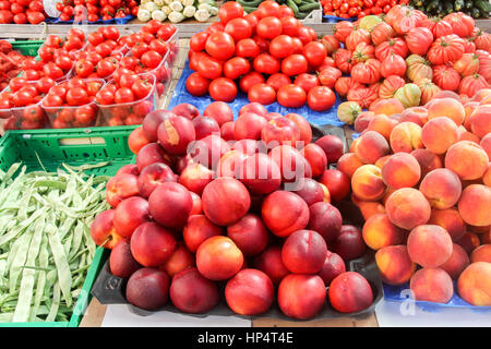 Markt in Civitiavecchia, Italien Stockfoto