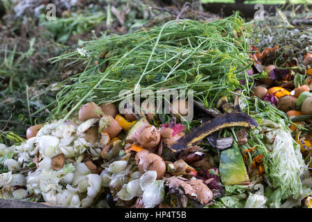 Fliegt auf die Küchenabfälle - Kompost Bestandteile Stockfoto