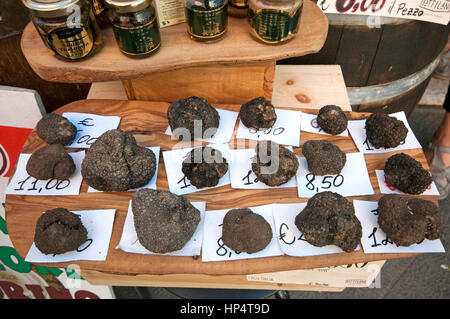 Sommertrüffel (Tuber Aestivum) für Verkauf, Castiglione del Lago, Umbrien, Italien Stockfoto