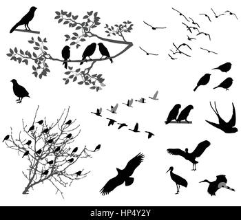 Silhouetten der Vögel fliegen und sitzen auf Ästen Stock Vektor