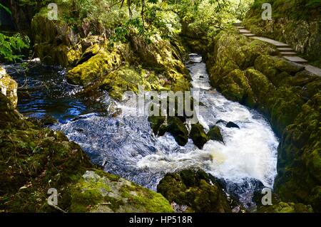 Fluss Doe, Ingleton Wasserfällen gehen Stockfoto