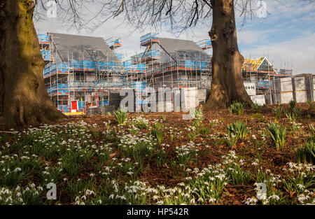 Neue Häuser auf Cheshire Greenbelt und farmlland Stockfoto