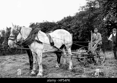 In der Ecke eines Feldes in Keighley, Yorkshire, ein Bauer auf einer neuen Bamford Gras Gras schneiden Maschine sitzen zwei Pferde vorgespannt. Ein landwirtschaftlicher Arbeitnehmer steht hinter der Maschine, die Hände auf den Hüften. Foto ca. 1900, restauriert von einem hohen Auflösung aus der original viktorianischen negative zu scannen. Stockfoto
