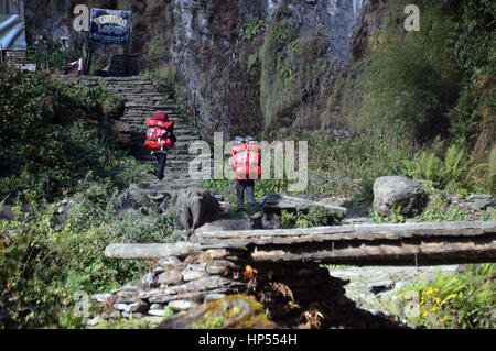 Zwei männliche nepalesische Träger tragen schwere Taschen oben Steinstufen, die Gurung Lodge in Ban Thanti im Annapurna Sanctuary, Himalaya, Nepal, Asien Stockfoto