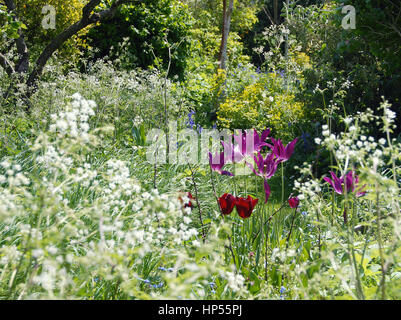 Alles im Garten geht im Mai... Stockfoto