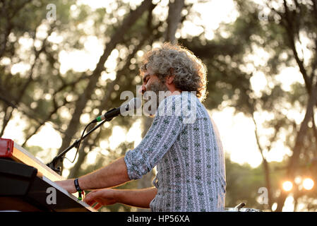 BARCELONA - 4. Juli: Der Pianist von Nacho Vegas (Band) führt auf Vida Festival am 4. Juli 2015 in Barcelona, Spanien. Stockfoto