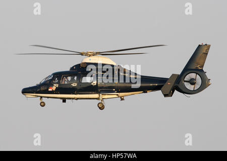 Einer der eine kleine Anzahl von Eurocopter Dauphin AS365N Hubschrauber, 658 Sqn AAC zur direkten Unterstützung der SAS in Credenhill Baracken zugewiesen. Stockfoto