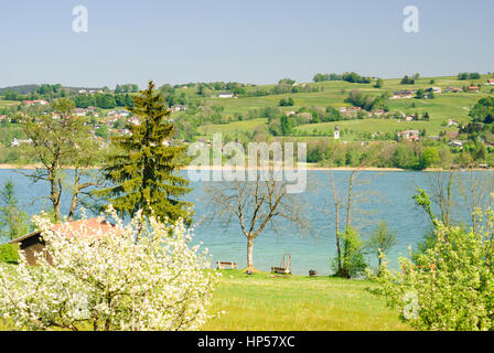 Zell, Moos, See Irrsee, Salzkammergut, Oberösterreich, Oberösterreich, Österreich Stockfoto