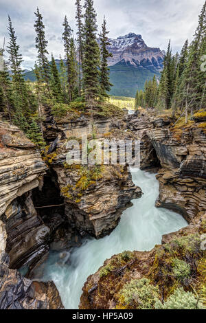 Natürlichen Fluss des Athabasca Falls am malerischen Icefield Parkway in Jasper Nationalpark, Alberta, Kanada Stockfoto