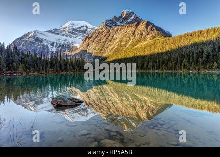 Reflexion des Mount Edith Cavell in Cavell Lake bei Sonnenaufgang, Jasper Nationalpark, Alberta, Kanada Stockfoto