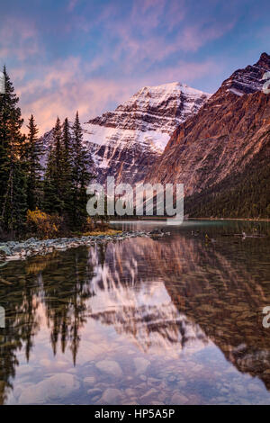 Eines der schönsten Berglandschaft in den kanadischen Rockies. Mount Edith Cavell Reflexion bei Sonnenaufgang im Jasper Nationalpark, Alberta. Stockfoto