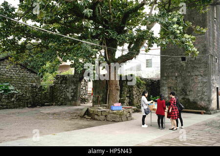 Haikou, Haikou, China. 15. Februar 2017. Haikou, CHINA-Februar 15 2017: (nur zur redaktionellen Verwendung. CHINA HERAUS). Es ist üblich, dass Architekturen aus Basalt in Sanqing Dorf, Haikou, Hainan Provinz Süd-China. Das Dorf Sanqing liegt im Reliquien des Vulkans und die meisten Architekturen mit Basalt errichtet wurden. Bildnachweis: SIPA Asien/ZUMA Draht/Alamy Live-Nachrichten Stockfoto