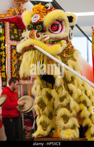 Birmingham, Vereinigtes Königreich. 19. Februar 2017. Fünf britische Lion Dance-Mannschaften, die zu der ersten Resorts World Birmingham Löwentanz champions 2017 Credit: Steven Reh/Alamy Live News Stockfoto