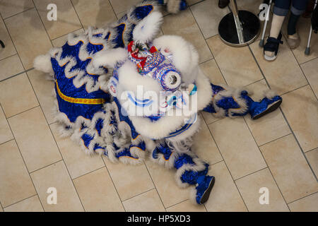 Birmingham, Vereinigtes Königreich. 19. Februar 2017. Fünf britische Lion Dance-Mannschaften, die zu der ersten Resorts World Birmingham Löwentanz champions 2017 Credit: Steven Reh/Alamy Live News Stockfoto