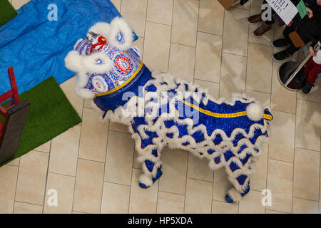 Birmingham, Vereinigtes Königreich. 19. Februar 2017. Fünf britische Lion Dance-Mannschaften, die zu der ersten Resorts World Birmingham Löwentanz champions 2017 Credit: Steven Reh/Alamy Live News Stockfoto