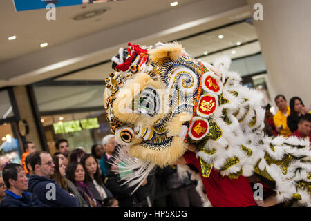 Birmingham, Vereinigtes Königreich. 19. Februar 2017. Fünf britische Lion Dance-Mannschaften, die zu der ersten Resorts World Birmingham Löwentanz champions 2017 Credit: Steven Reh/Alamy Live News Stockfoto