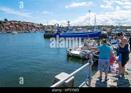 Eine Familie fangen Krabben in den Hafen von Whitby, Großbritannien Stockfoto