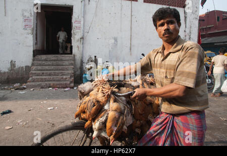 Kalkutta, Calcutta, West-Bengalen, West, Bengal, Indien, Indian, Asia, asiatisch, Stockfoto