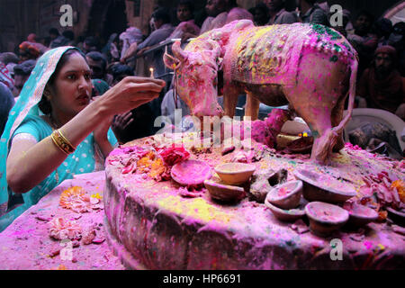 Porträt einer indischen Frau während Holi Feierlichkeiten in Vrindavan, Indien Stockfoto