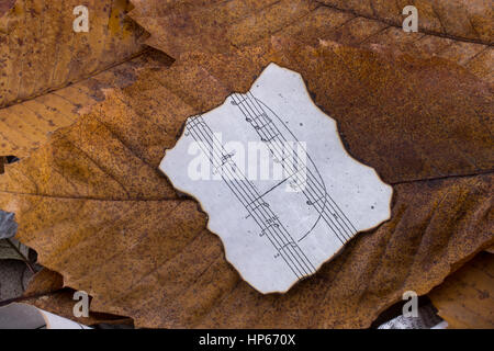 Noten auf dem verbrannten Papier platziert auf einem Blatt Stockfoto