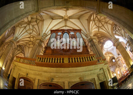 Im Inneren der Kathedrale von Guadix Provinz Granada, Granada, Andalusien, Spanien, Europa Stockfoto