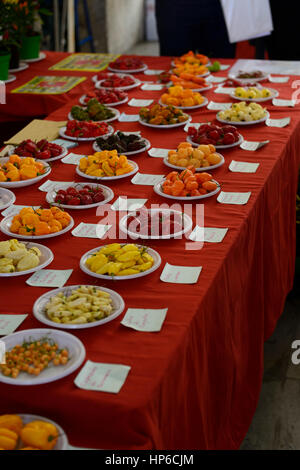 Pfefferoni, verschiedene Arten, mild, Mittel, heiß, Mix, gemischt, rot, gelb, grün, Chilis, auf Verkauf hot Spice, ganze, Paprika, Pisa Markt, toskanischen Pr Stockfoto