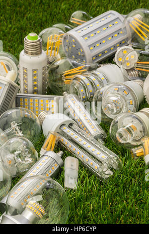 große Familie von Eco LED-Lampen verschiedener Typen auf dem grünen Rasen Stockfoto