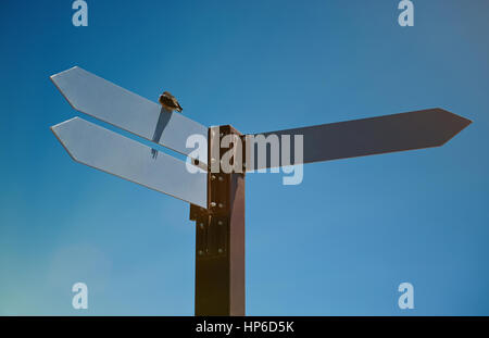 Wegweiser mit drei Pfeilen auf blauen Himmelshintergrund. Nahaufnahme der Kreuzung Zeichen Stockfoto