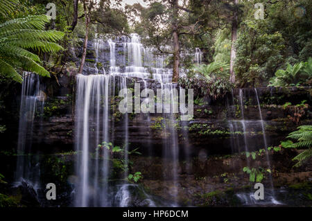 Berühmten Russell verliebt sich in Mount Field National Park, Tasmanien, Australien Stockfoto