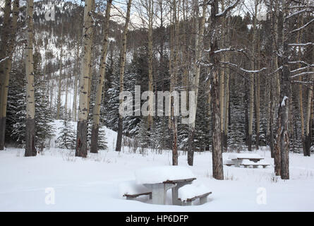 Tag-Rastplatz unter dem Schnee in Banff NP Stockfoto