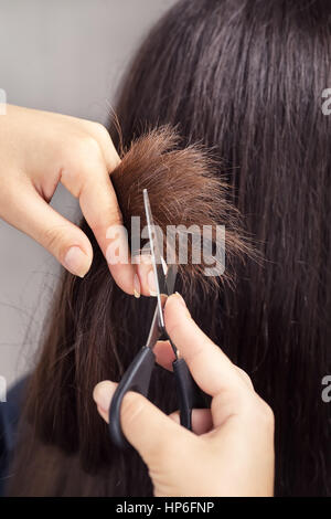 Friseur braune Haare mit einer Schere zuschneiden. Friseur Haarschnitt Nahaufnahme. Damen Haarschnitt. Friseur, Beauty-Salon. Diese Spaltung loszuwerden Stockfoto