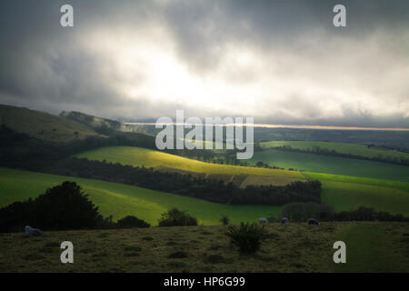 Landschaft über alte Winchester Hill und den South Downs Stockfoto