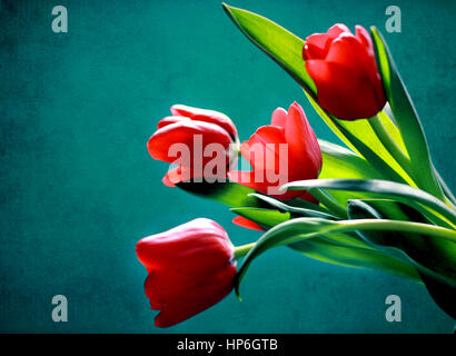 Schöne rote Tulpen auf grünem Hintergrund, erstaunlich für Abdeckungen, Tapeten, Web-Design, Blog-Vorlagen Stockfoto