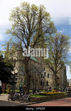 Allgemeine Ansichten der Kathedrale von Chichester, West Sussex, UK. Stockfoto