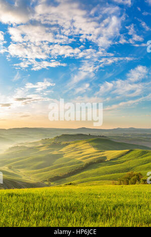 Tal mit Dawn Nebel in einem ländlichen Hügellandschaft in der Toskana, Italien Stockfoto