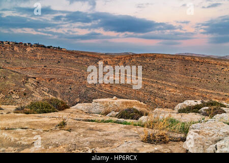 Malerische Aussicht auf einen Canyon in der Negev-Wüste im Sonnenuntergang. Israel Stockfoto