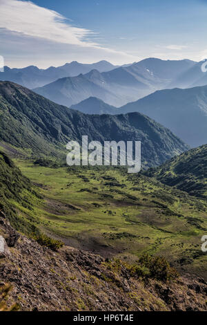 Flora von Kamtschatka. Wälder und Felder. Natur Kamtschatkas. Landschaften und herrliche Ausblicke auf der Halbinsel Kamtschatka. Stockfoto