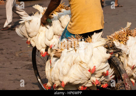 Kalkutta, Calcutta, West-Bengalen, West, Bengal, Indien, Indian, Asia, asiatisch, Stockfoto