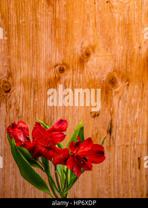 Alstroemeria auf Sperrholz Hintergrund, Porträt orientationa Stockfoto