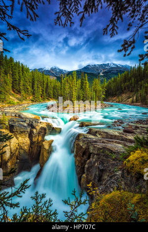 Sunwapta Falls, Alberta, Kanada Stockfoto