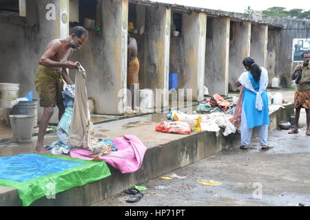 Kochi, Indien - öffnen 1. November 2015 - Luft Waschsalon Dhobi Ghat in Kochi, Süd-Indien Stockfoto