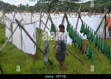 Kochi, Indien - öffnen 1. November 2015 - Luft Waschsalon Dhobi Ghat in Kochi, Süd-Indien Stockfoto